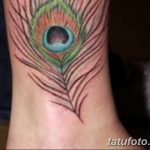 фото тату перо павлина от 26.06.2018 №111 - tattoo peacock feather - tatufoto.com