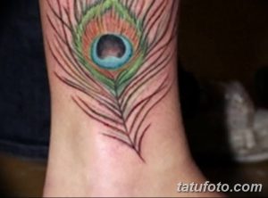 фото тату перо павлина от 26.06.2018 №111 - tattoo peacock feather - tatufoto.com