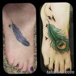 фото тату перо павлина от 26.06.2018 №113 - tattoo peacock feather - tatufoto.com