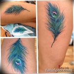 фото тату перо павлина от 26.06.2018 №114 - tattoo peacock feather - tatufoto.com