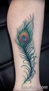 фото тату перо павлина от 26.06.2018 №115 - tattoo peacock feather - tatufoto.com