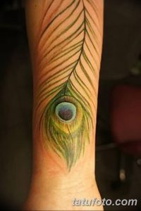 фото тату перо павлина от 26.06.2018 №118 - tattoo peacock feather - tatufoto.com