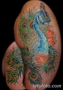 фото тату перо павлина от 26.06.2018 №119 - tattoo peacock feather - tatufoto.com