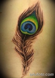 фото тату перо павлина от 26.06.2018 №121 - tattoo peacock feather - tatufoto.com