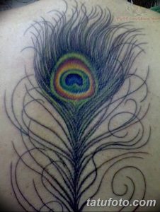 фото тату перо павлина от 26.06.2018 №122 - tattoo peacock feather - tatufoto.com