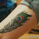 фото тату перо павлина от 26.06.2018 №124 - tattoo peacock feather - tatufoto.com