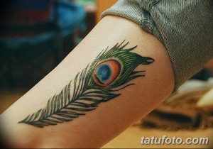 фото тату перо павлина от 26.06.2018 №124 - tattoo peacock feather - tatufoto.com