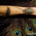 фото тату перо павлина от 26.06.2018 №127 - tattoo peacock feather - tatufoto.com