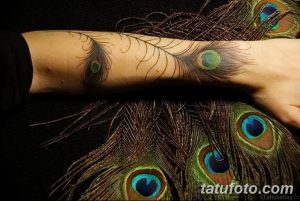 фото тату перо павлина от 26.06.2018 №127 - tattoo peacock feather - tatufoto.com