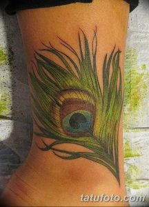 фото тату перо павлина от 26.06.2018 №129 - tattoo peacock feather - tatufoto.com