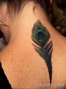 фото тату перо павлина от 26.06.2018 №131 - tattoo peacock feather - tatufoto.com