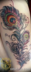 фото тату перо павлина от 26.06.2018 №132 - tattoo peacock feather - tatufoto.com