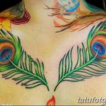 фото тату перо павлина от 26.06.2018 №134 - tattoo peacock feather - tatufoto.com