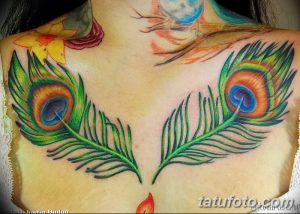 фото тату перо павлина от 26.06.2018 №134 - tattoo peacock feather - tatufoto.com