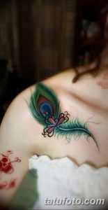 фото тату перо павлина от 26.06.2018 №136 - tattoo peacock feather - tatufoto.com