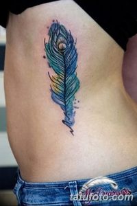 фото тату перо павлина от 26.06.2018 №137 - tattoo peacock feather - tatufoto.com