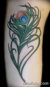 фото тату перо павлина от 26.06.2018 №139 - tattoo peacock feather - tatufoto.com