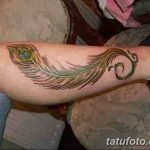 фото тату перо павлина от 26.06.2018 №140 - tattoo peacock feather - tatufoto.com