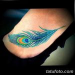 фото тату перо павлина от 26.06.2018 №145 - tattoo peacock feather - tatufoto.com