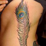 фото тату перо павлина от 26.06.2018 №148 - tattoo peacock feather - tatufoto.com
