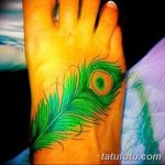 фото тату перо павлина от 26.06.2018 №149 - tattoo peacock feather - tatufoto.com