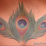 фото тату перо павлина от 26.06.2018 №156 - tattoo peacock feather - tatufoto.com
