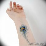 фото тату перо павлина от 26.06.2018 №161 - tattoo peacock feather - tatufoto.com