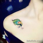 фото тату перо павлина от 26.06.2018 №162 - tattoo peacock feather - tatufoto.com