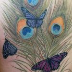 фото тату перо павлина от 26.06.2018 №169 - tattoo peacock feather - tatufoto.com
