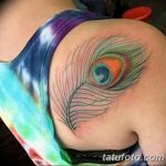 фото тату перо павлина от 26.06.2018 №172 - tattoo peacock feather - tatufoto.com