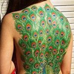 фото тату перо павлина от 26.06.2018 №173 - tattoo peacock feather - tatufoto.com