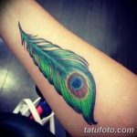 фото тату перо павлина от 26.06.2018 №174 - tattoo peacock feather - tatufoto.com
