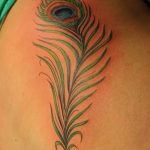 фото тату перо павлина от 26.06.2018 №177 - tattoo peacock feather - tatufoto.com