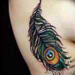 фото тату перо павлина от 26.06.2018 №180 - tattoo peacock feather - tatufoto.com