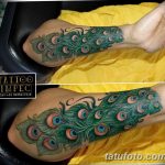 фото тату перо павлина от 26.06.2018 №181 - tattoo peacock feather - tatufoto.com