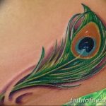 фото тату перо павлина от 26.06.2018 №186 - tattoo peacock feather - tatufoto.com
