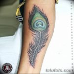фото тату перо павлина от 26.06.2018 №191 - tattoo peacock feather - tatufoto.com