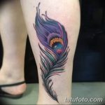фото тату перо павлина от 26.06.2018 №193 - tattoo peacock feather - tatufoto.com