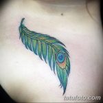 фото тату перо павлина от 26.06.2018 №194 - tattoo peacock feather - tatufoto.com