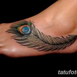 фото тату перо павлина от 26.06.2018 №197 - tattoo peacock feather - tatufoto.com