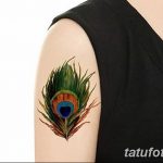 фото тату перо павлина от 26.06.2018 №199 - tattoo peacock feather - tatufoto.com