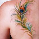 фото тату перо павлина от 26.06.2018 №200 - tattoo peacock feather - tatufoto.com
