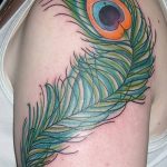 фото тату перо павлина от 26.06.2018 №204 - tattoo peacock feather - tatufoto.com