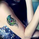 фото тату перо павлина от 26.06.2018 №207 - tattoo peacock feather - tatufoto.com