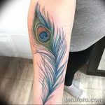 фото тату перо павлина от 26.06.2018 №210 - tattoo peacock feather - tatufoto.com