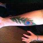 фото тату перо павлина от 26.06.2018 №215 - tattoo peacock feather - tatufoto.com
