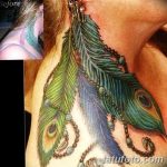 фото тату перо павлина от 26.06.2018 №218 - tattoo peacock feather - tatufoto.com