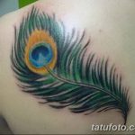 фото тату перо павлина от 26.06.2018 №223 - tattoo peacock feather - tatufoto.com