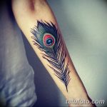 фото тату перо павлина от 26.06.2018 №224 - tattoo peacock feather - tatufoto.com