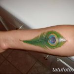 фото тату перо павлина от 26.06.2018 №225 - tattoo peacock feather - tatufoto.com